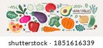 Vegetables.Vector food illustrations: tomato, beet, bay leaf, pepper, eggplant, cucumber, broccoli, carrot, pumpkin, avocado, onion and rosemary