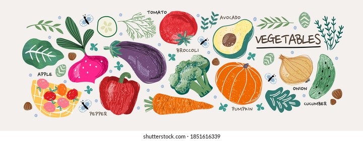 Vegetables.Vector food illustrations: tomato, beet, bay leaf, pepper, eggplant, cucumber, broccoli, carrot, pumpkin, avocado, onion and rosemary