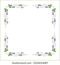 Vegetal frame with grapevine,  bunches with blue grape, decorative corners for greeting cards, banners, business cards, invitations, menus. Isolated vector illustration.	
