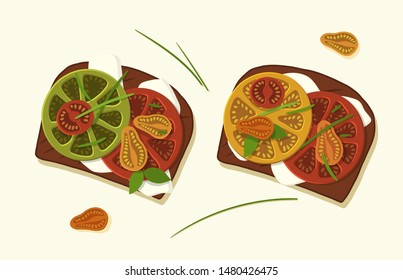 Vegetarian bread toast for breakfast with tomatoes and cottage cheese. Cherries and large tomatoes sprinkled with basil leaves. Vector illustration.