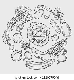Vegetarian circle background with hand drawn organic vegetables.Vector vintage illustration. Can be used for wrapping paper, street festival, farmers market, country fair, shop, menu, cafe, restaurant