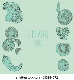 Vegetarian collection. Organic food set.