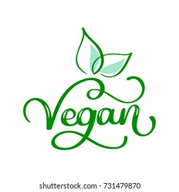 Vegetarian eco concept. Vector illustration. Hand drawn lettering inscription Go Vegan