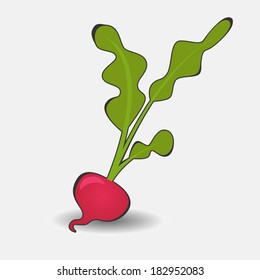 vegetarian food