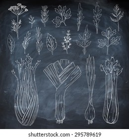 Vegetarian food background. Herbs and spice. Isolated. Chalk board vector. Linear hand drawn elements.