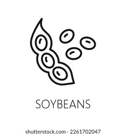 Vegetarian food bean or bob isolated outline icon. Vector healthy legume fresh food, organic nutrition seed, superfood dieting healthy edible bob cereal