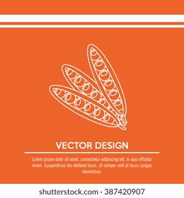 vegetarian food design 