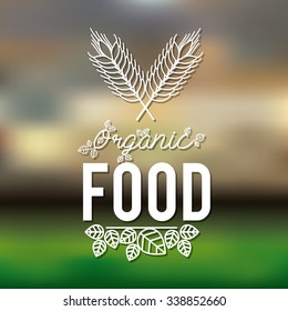 vegetarian food design, vector illustration eps10 graphic 