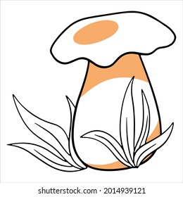 Vegetarian food. Edible porcini mushroom in the grass. Line style. Vector illustration for design and decoration.