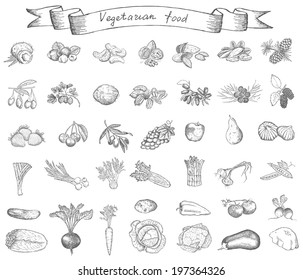 vegetarian food. hand drawing set of vector sketches