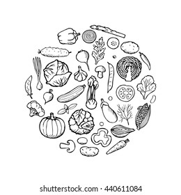 Vegetarian hand drawn elements. Vector illustration of doodle vegetables