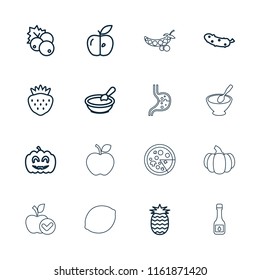 Vegetarian icon. collection of 16 vegetarian outline icons such as currant, porridge, cucumber, apple, strawberry. editable vegetarian icons for web and mobile.