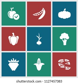 Vegetarian icon. collection of 9 vegetarian filled icons such as cauliflower, corn, apple, pizza, raspberry, pepper, peas. editable vegetarian icons for web and mobile.