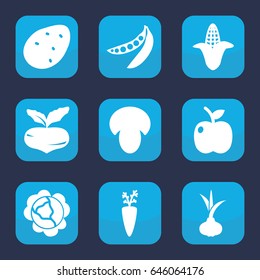 Vegetarian icon. set of 9 filled vegetarian icons such as mushroom, potato, onion, beet, cabbage, corn, peas, apple