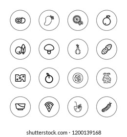 Vegetarian icon set. collection of 16 outline vegetarian icons with apricot, coconut, cheese, cucumber, dragon fruit, mango, mushroom, onion, orange, pizza, salad icons.