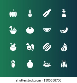 vegetarian icon set. Collection of 16 filled vegetarian icons included Tuber, Cucumber, Apple, Turnip, Aubergine, Watermelon, Nature, Coconut, Banana, Tomato, Salad, Oil bottle