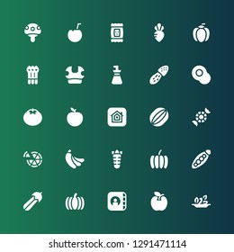 vegetarian icon set. Collection of 25 filled vegetarian icons included Salad, Apple, Pumpkin, Courgette, Peas, Carrot, Banana, Pizza, Peppermint, Watermelon, Tomato, Avocado, Mushroom