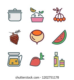 vegetarian icon set. vector set about berry, lemon, radish and pine nut icons set.