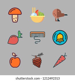 vegetarian icon set. vector set about carrot, kiwi, bell and pine nut icons set.