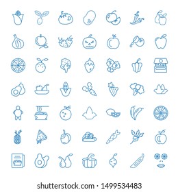 vegetarian icons. Editable 49 vegetarian icons. Included icons such as Cucumber, Legume, Radish, Pumpkin, Pear, Avocado, Cookbook, Apple, Carrot. vegetarian trendy icons for web.