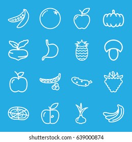 Vegetarian icons set. set of 16 vegetarian outline icons such as mushroom, pumpkin, onion, orange, beet, banana, peas, cucumber, pizza, apple, raspberry, stomach
