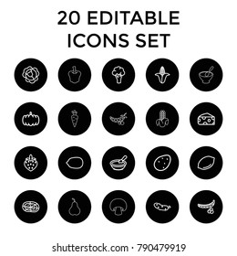 Vegetarian icons. set of 20 editable outline vegetarian icons such as pumpkin, potato, peas, cabbage, cauliflower, corn. best quality vegetarian elements in trendy style.