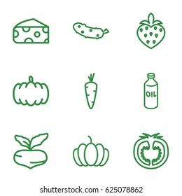 Vegetarian icons set. set of 9 vegetarian outline icons such as pumpkin, carrot, beet, cheese, oil, cucumber, tomato