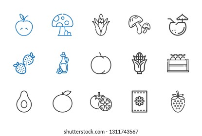 vegetarian icons set. Collection of vegetarian with strawberry, seeds, tomatoes, orange, banana, fruit, corn, peach, olive oil, coconut. Editable and scalable vegetarian icons.