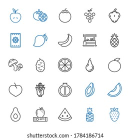 vegetarian icons set. Collection of vegetarian with strawberry, pineapple, watermelon, apple, banana, melon, papaya, corn, plum, orange. Editable and scalable vegetarian icons.