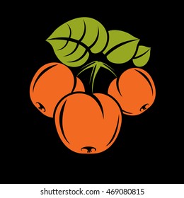 Vegetarian organic food simple illustration, vector ripe orange peaches with green leaves isolated. Whole fruits, fruitfulness idea symbol.