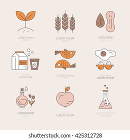 Vegetarian, paleo, gluten free - logos and illustrations of different diets. Food intolerance symbols.Vector line collection of modern icons.
