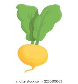 Vegetarian root icon cartoon vector. Green turnip. Food farm