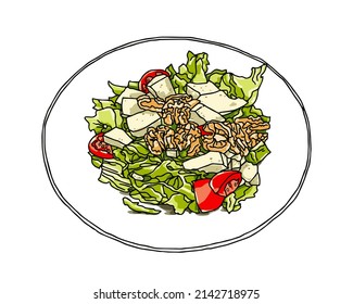 Vegetarian salad hand drawn lettuce, walnuts, tomatoes, cheese. Graph vector illustration