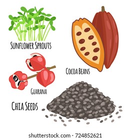 Vegetarian superfood healthy vegetable eco food fresh organic traditional gourmet nutrition vector illustration.