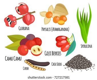 Vegetarian superfood healthy vegetable eco food fresh organic traditional gourmet nutrition vector illustration.