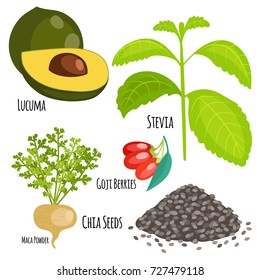 Vegetarian superfood healthy vegetable eco food nutrition vector illustration.