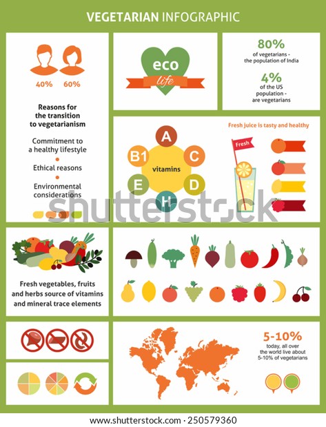 Vegetarian Vegan Vegetarian Healthy Food Infographic Stock Vector ...