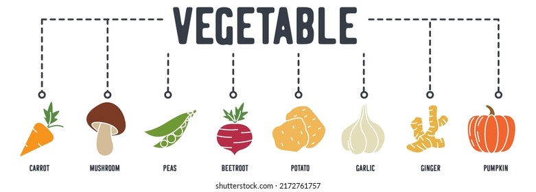 Vegetarian Vegetable banner web icon. carrot, mushroom, peas, beetroot, potato, garlic, ginger, pumpkin vector illustration concept.