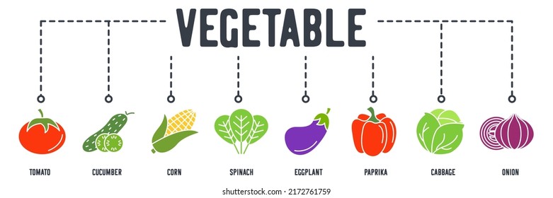 Vegetarian Vegetable banner web icon. tomato, cucumber, corn, spinach, eggplant, paprika, cabbage, onion vector illustration concept.