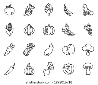 Vegetarian, vegetable set icon symbol template for graphic and web design collection logo vector illustration