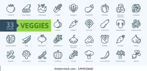 Vegetarian, vegetable, veggies - minimal thin line web icon set. Included the simple vector icons as tomato, cucumber, kohlrabi, cauliflower, pattypan squash, fiddleheads. Outline icons collection.