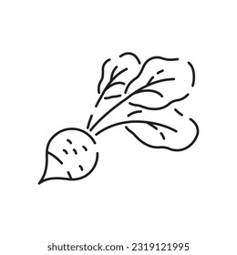 Vegetarian, vegetable, veggies - minimal thin line icon. Simple vector icon as tomato, cucumber, kohlrabi, cauliflower, pattypan squash, fiddleheads good food and health