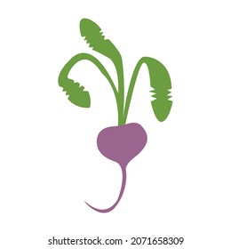 Vegetarianismus Vektorbild einer frischen Rübe mit einem Blatt, flaches Design