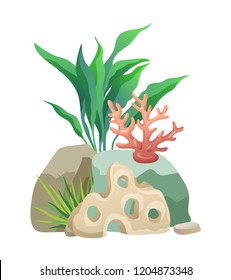 Vegetation green and coral plants with broad leaves foliage. Stone holes made by water. design of aquarium interior isolated on vector illustration
