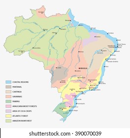 vegetation map of Brazil