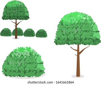 Vegetation - a tree and bush with leaves of different shades of greenery.
