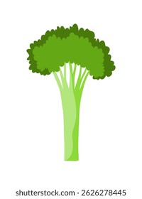 Veggie alphabet, English letter A made from fresh vegetables. Broccoli. Decoration concept for books, menus or shops. Vegetable lettering design on white background