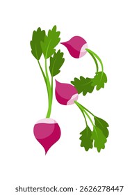 Veggie alphabet, English letter A made from fresh vegetables. Radish. Decoration concept for books, menus or shops. Vegetable lettering design on white background