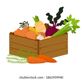 Veggie box with vegetables. Hand drawn healthy eating products. Vegans and vegetarians food, potato, lettuce, beets