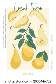 Veggie pear eco fruits poster design. Vector pears in cartoon style. Bright pear fruits. Healthy organic natural food and pear slices with seeds for autumn local farm market design.